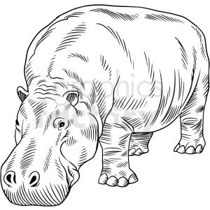 Detail Hippo Clipart Black And White Nomer 16