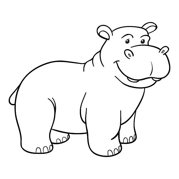 Detail Hippo Clipart Black And White Nomer 32