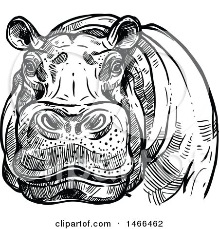 Detail Hippo Clipart Black And White Nomer 34