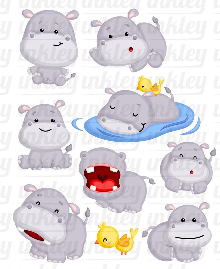 Detail Hippo Clipart Free Nomer 20