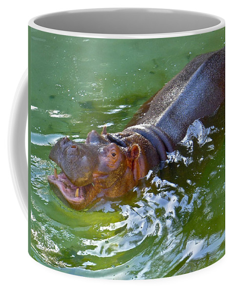 Detail Hippo Coffee Mug Nomer 42