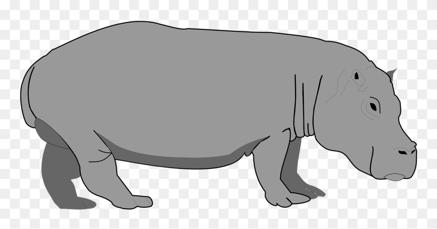 Detail Hippo Down Load Nomer 31
