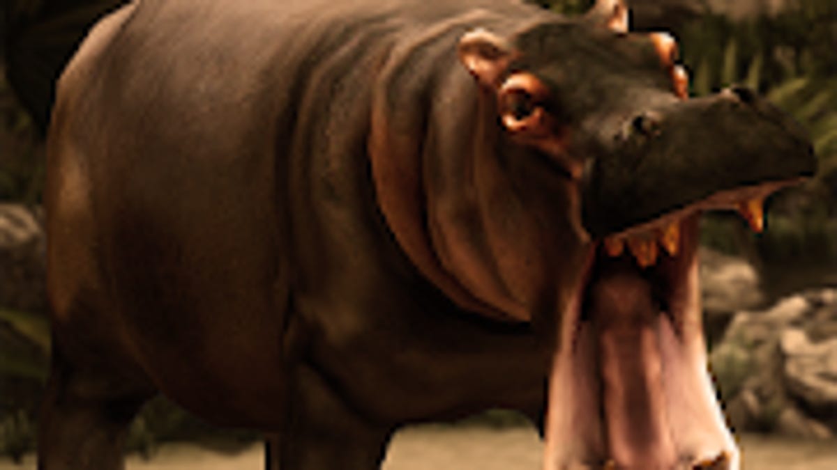 Detail Hippo Downloader Nomer 7