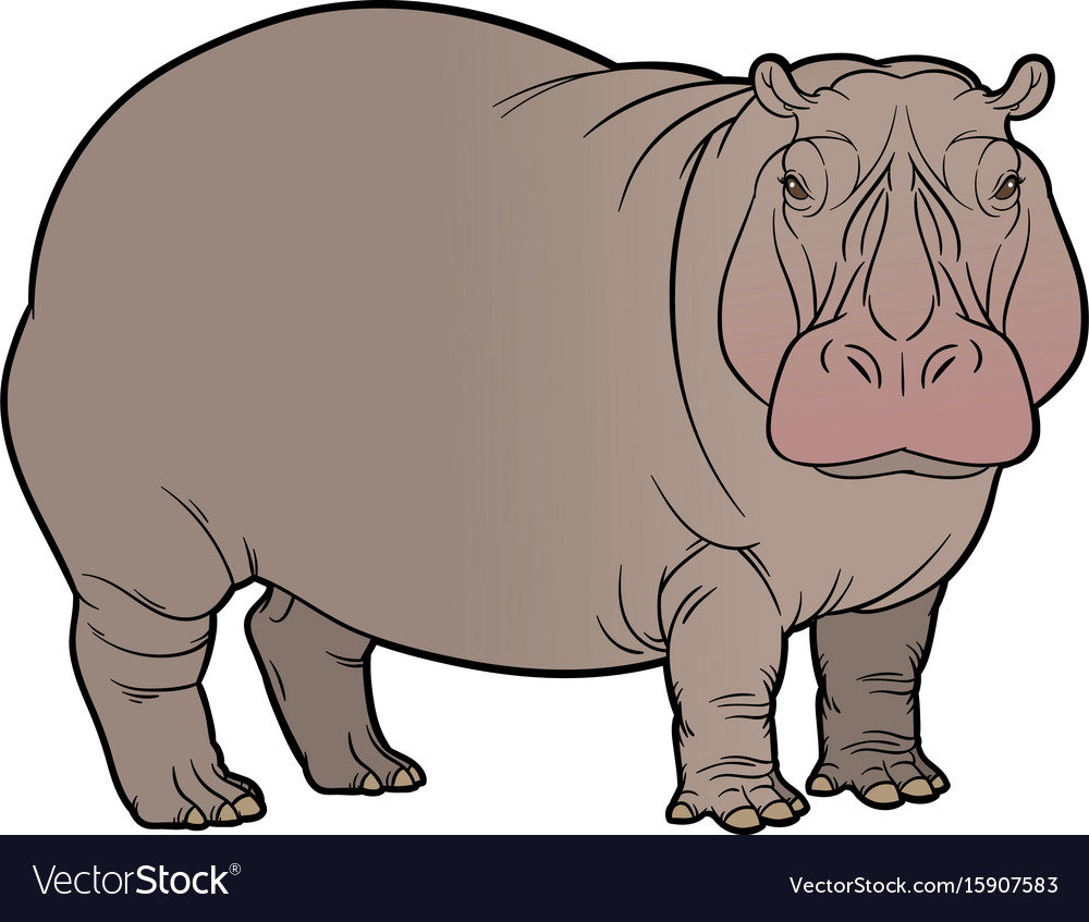 Detail Hippopotamus Vector Nomer 2