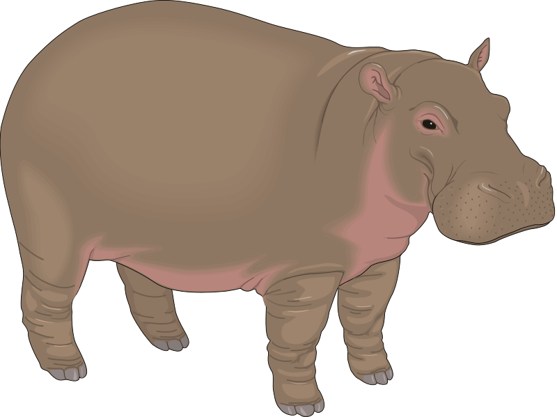 Detail Hippopotamus Vector Nomer 14