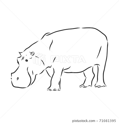 Detail Hippopotamus Vector Nomer 20