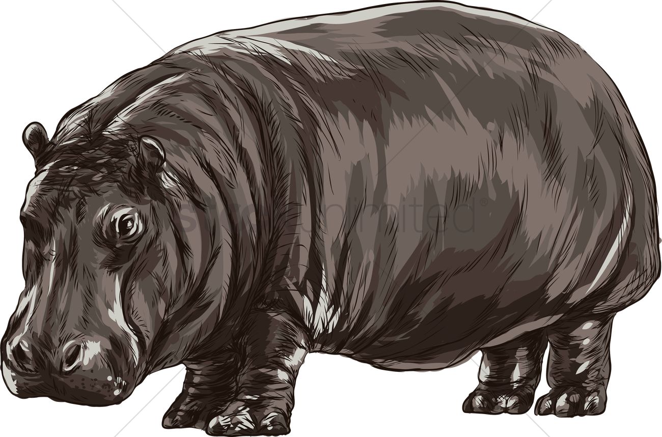 Detail Hippopotamus Vector Nomer 38