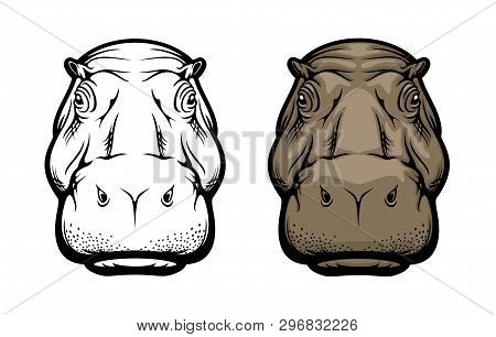 Detail Hippopotamus Vector Nomer 48