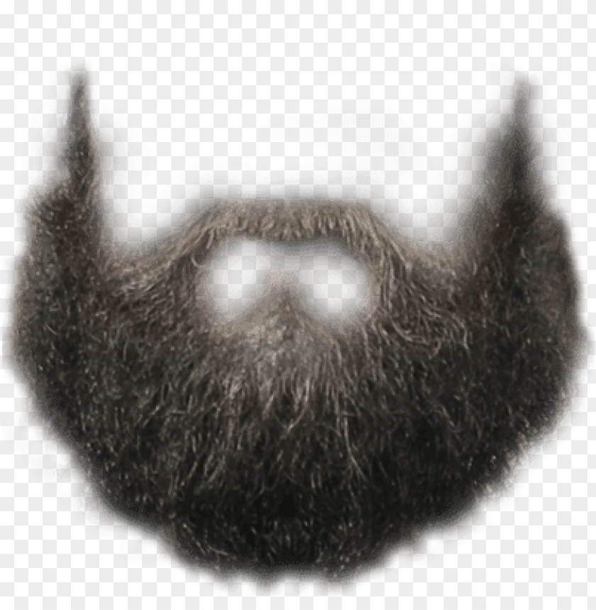 Hipster Beard Png - KibrisPDR