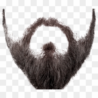 Detail Hipster Beard Png Nomer 13