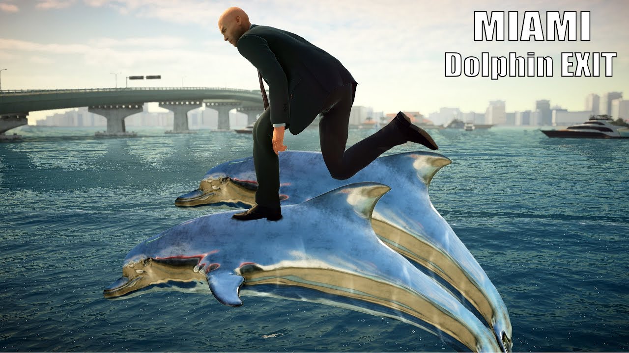 Detail Hitman 2 Dolphin Exit Nomer 2