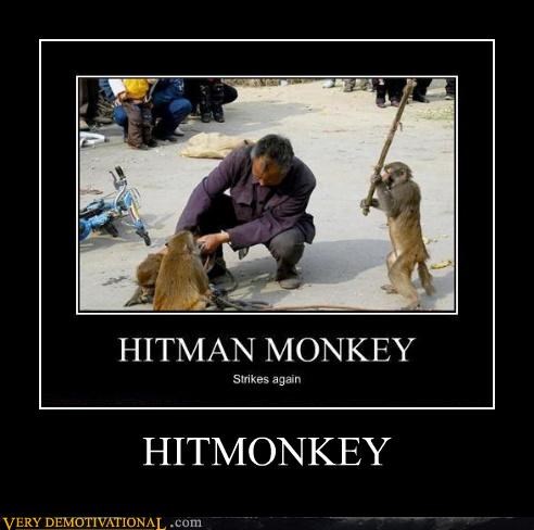 Detail Hitman Monkey Meme Nomer 20