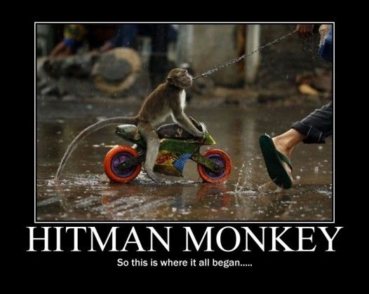 Detail Hitman Monkey Meme Nomer 5