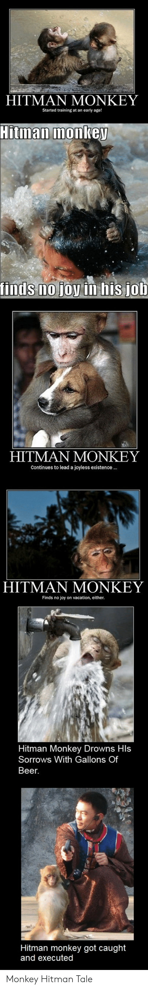 Detail Hitman Monkey Meme Nomer 32