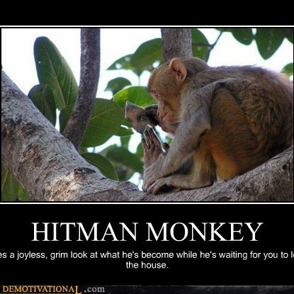 Detail Hitman Monkey Meme Nomer 38