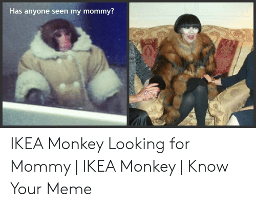 Detail Hitman Monkey Meme Nomer 44