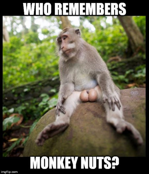 Detail Hitman Monkey Meme Nomer 45