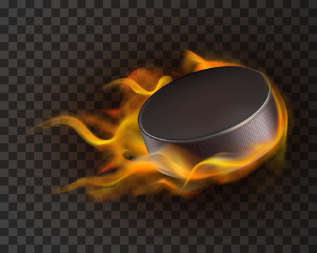 Detail Hockey Puck Transparent Nomer 16