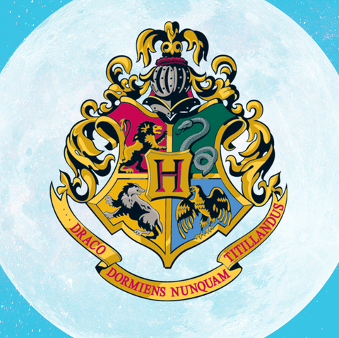 Detail Hogwarts Houses Logo Nomer 11