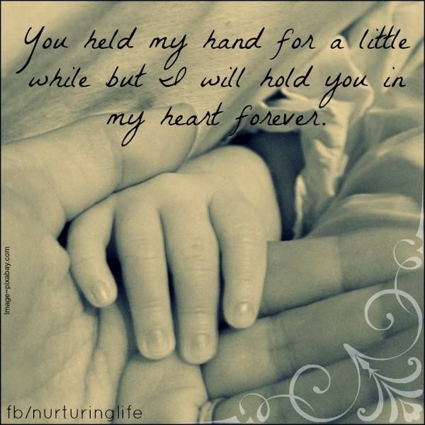 Detail Hold My Hand Daughter Quotes Nomer 4