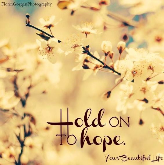 Detail Holding Onto Hope Quotes Nomer 40