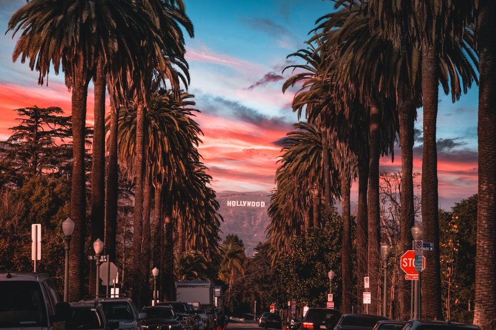 Hollywood Wallpaper - KibrisPDR