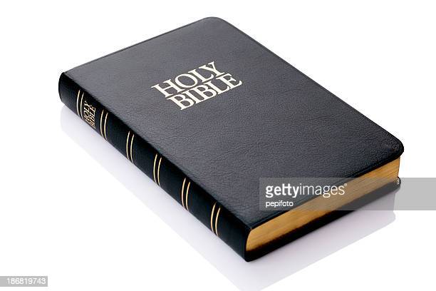 Detail Holy Bible Images Free Nomer 31