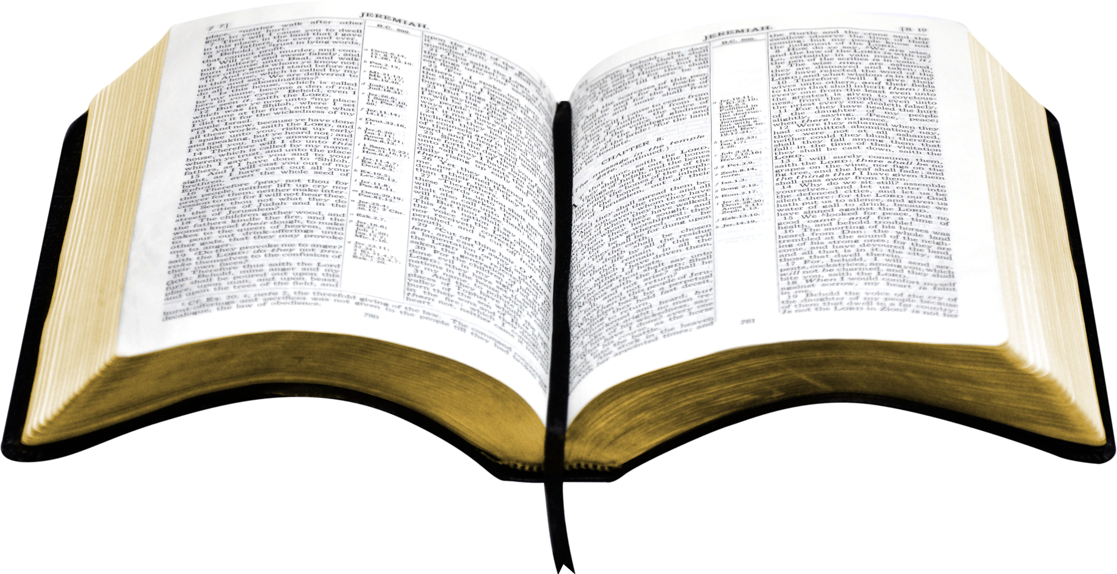 Detail Holy Bible Open Bible Clipart Nomer 16