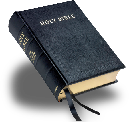 Detail Holy Bible Transparent Nomer 10