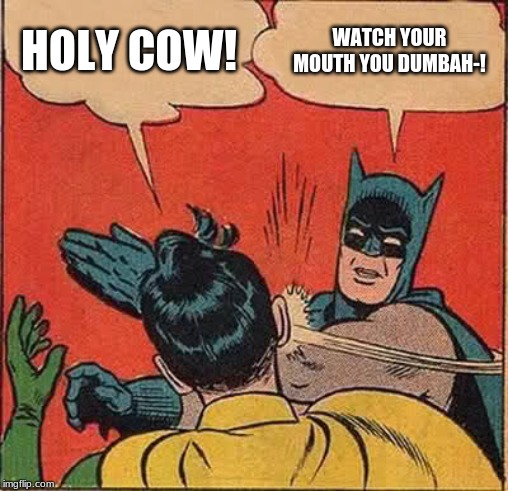 Detail Holy Cow Batman Meme Nomer 15