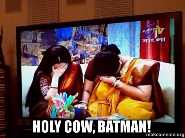 Detail Holy Cow Batman Meme Nomer 35