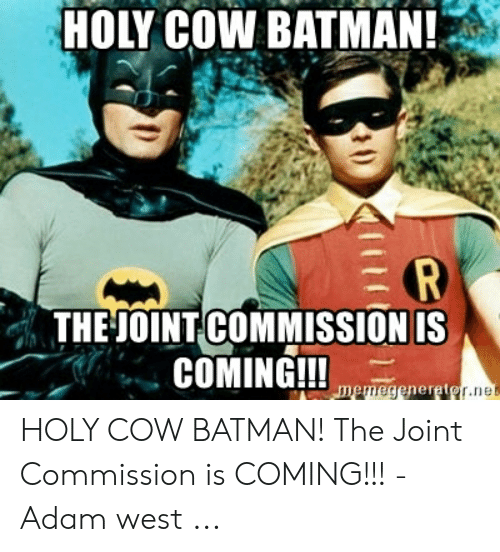 Detail Holy Cow Batman Meme Nomer 48