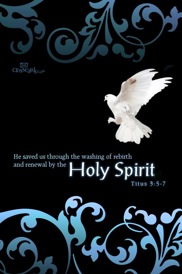 Detail Holy Spirit Wallpaper Nomer 10