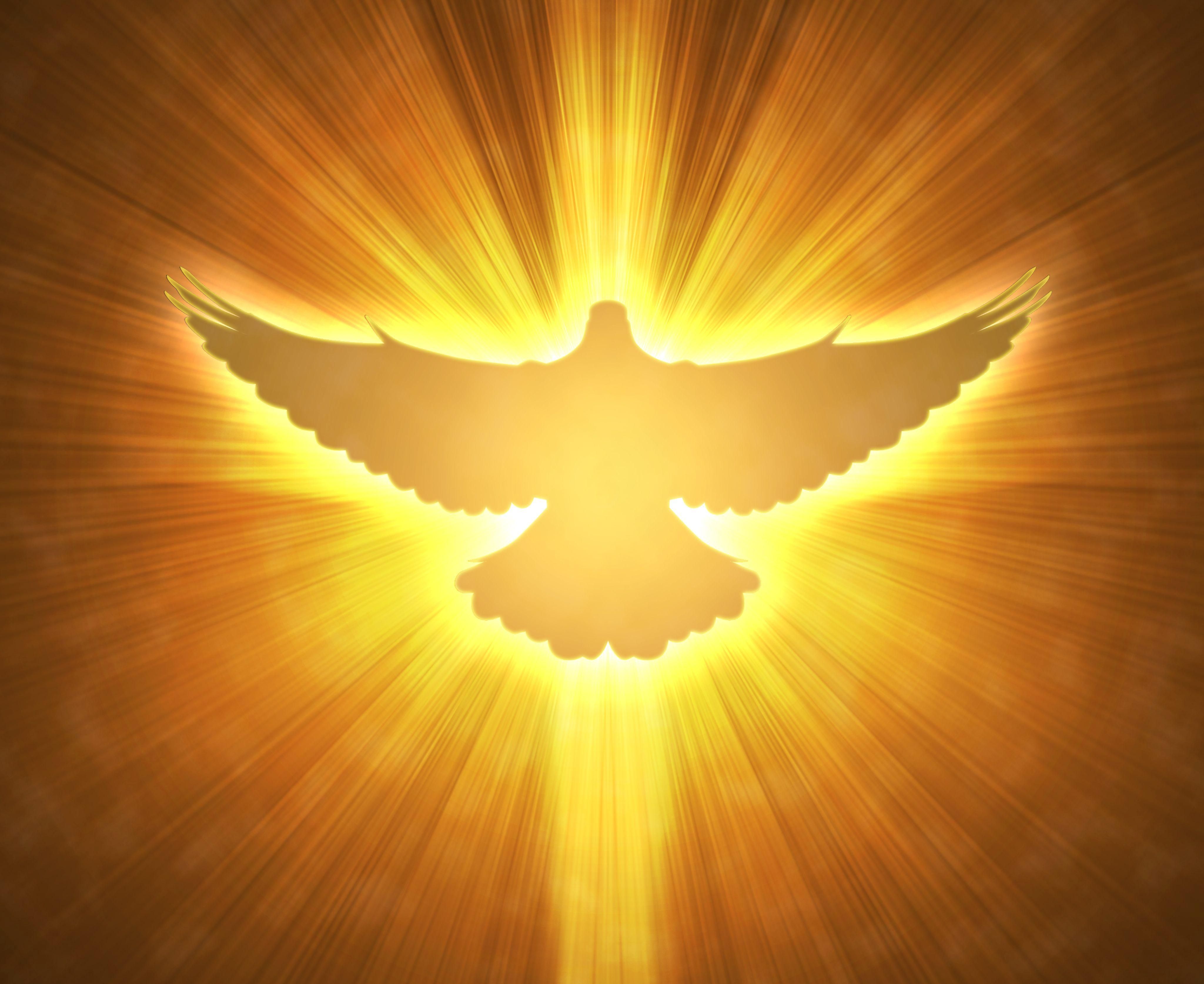 Detail Holy Spirit Wallpaper Hd Nomer 13