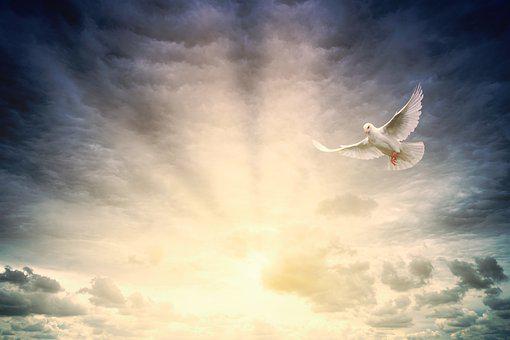 Detail Holy Spirit Wallpaper Hd Nomer 16