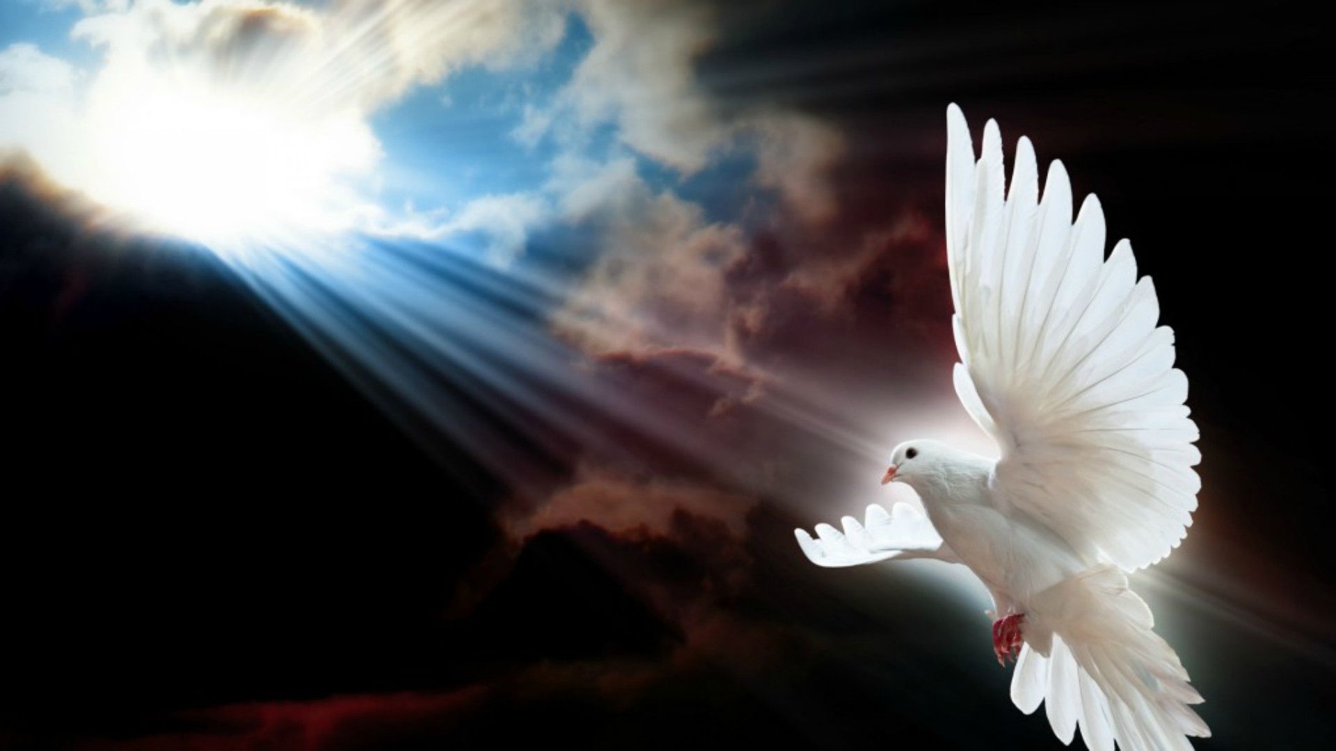 Detail Holy Spirit Wallpaper Hd Nomer 5