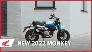 Detail Honda Monkey Vs Gorilla Nomer 44