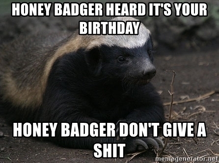 Detail Honey Badger Birthday Meme Nomer 11