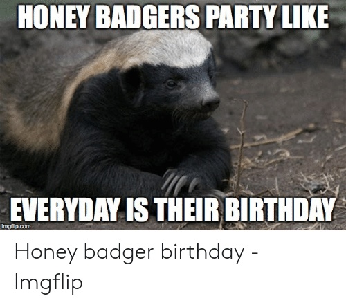 Detail Honey Badger Birthday Meme Nomer 12