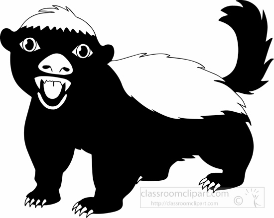 Detail Honey Badger Clip Art Nomer 44