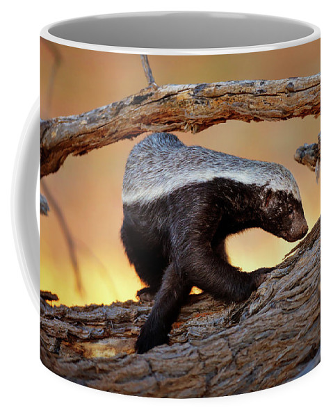 Detail Honey Badger Coffee Mug Nomer 36