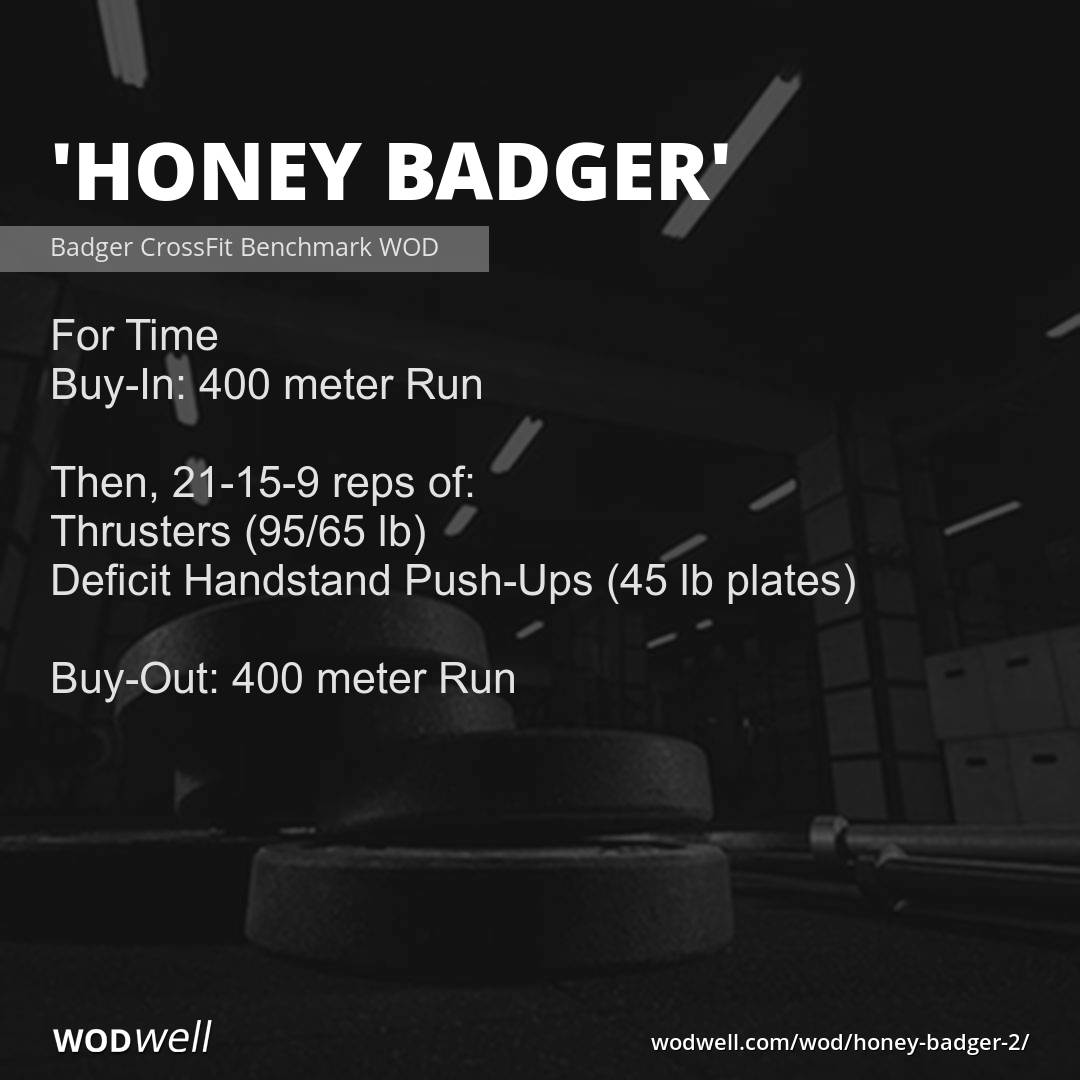 Detail Honey Badger Gym Nomer 34