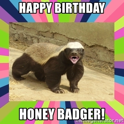 Detail Honey Badger Happy Birthday Nomer 2