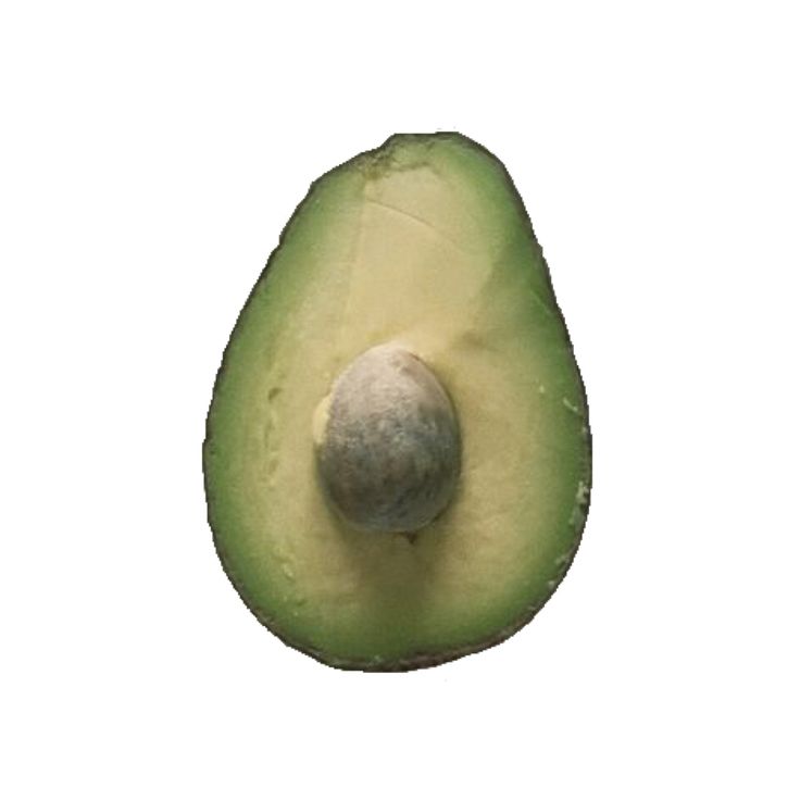 Detail Avocado Hipster Nomer 9
