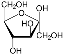 D Fructose Haworth - KibrisPDR