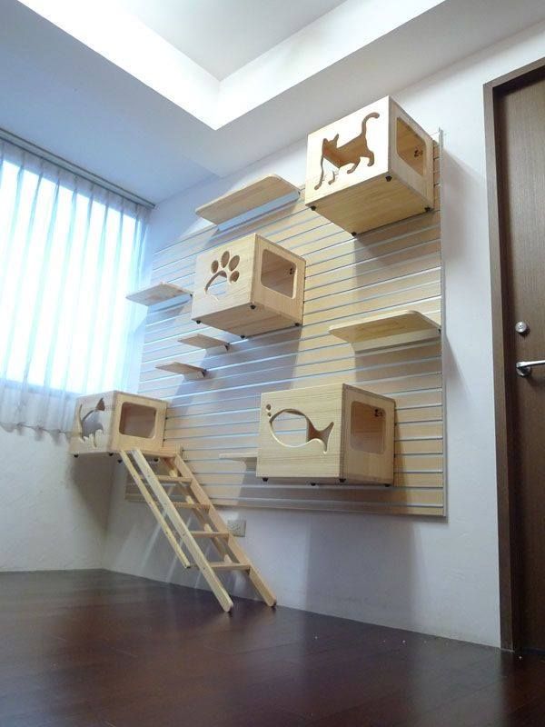 Desain Kamar Kucing - KibrisPDR