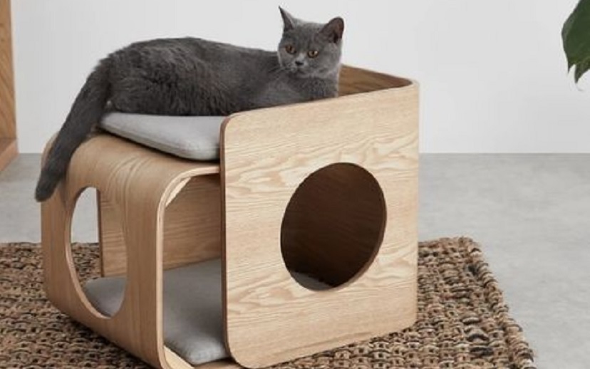 Detail Desain Kamar Kucing Nomer 37