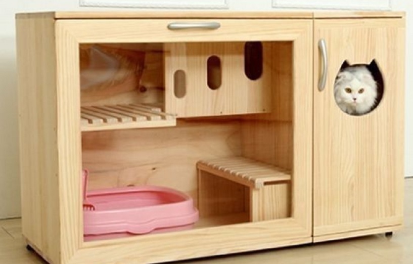 Detail Desain Kamar Kucing Nomer 40