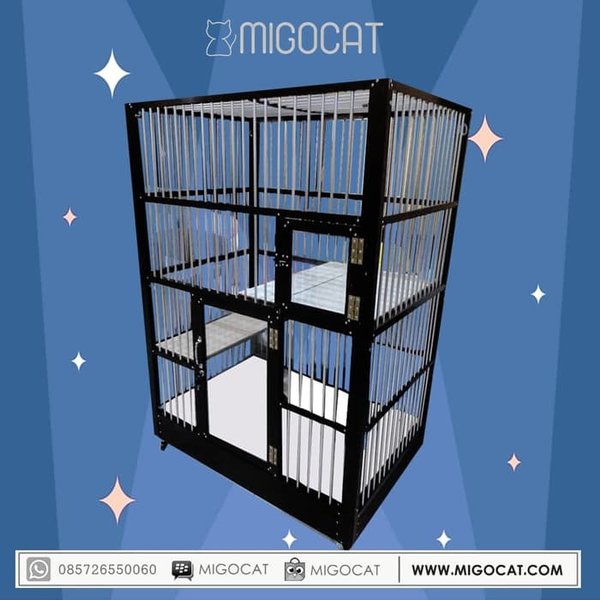 Detail Desain Kamar Kucing Nomer 53