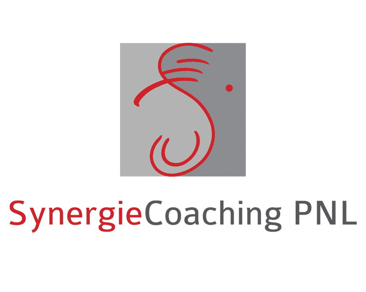 Detail Pnl Logo Nomer 7